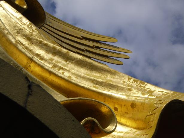 Golden wings of Victoria
Golden wings of Victoria